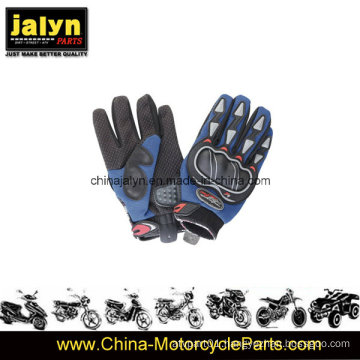 Motorcycle Gloves for All Riders